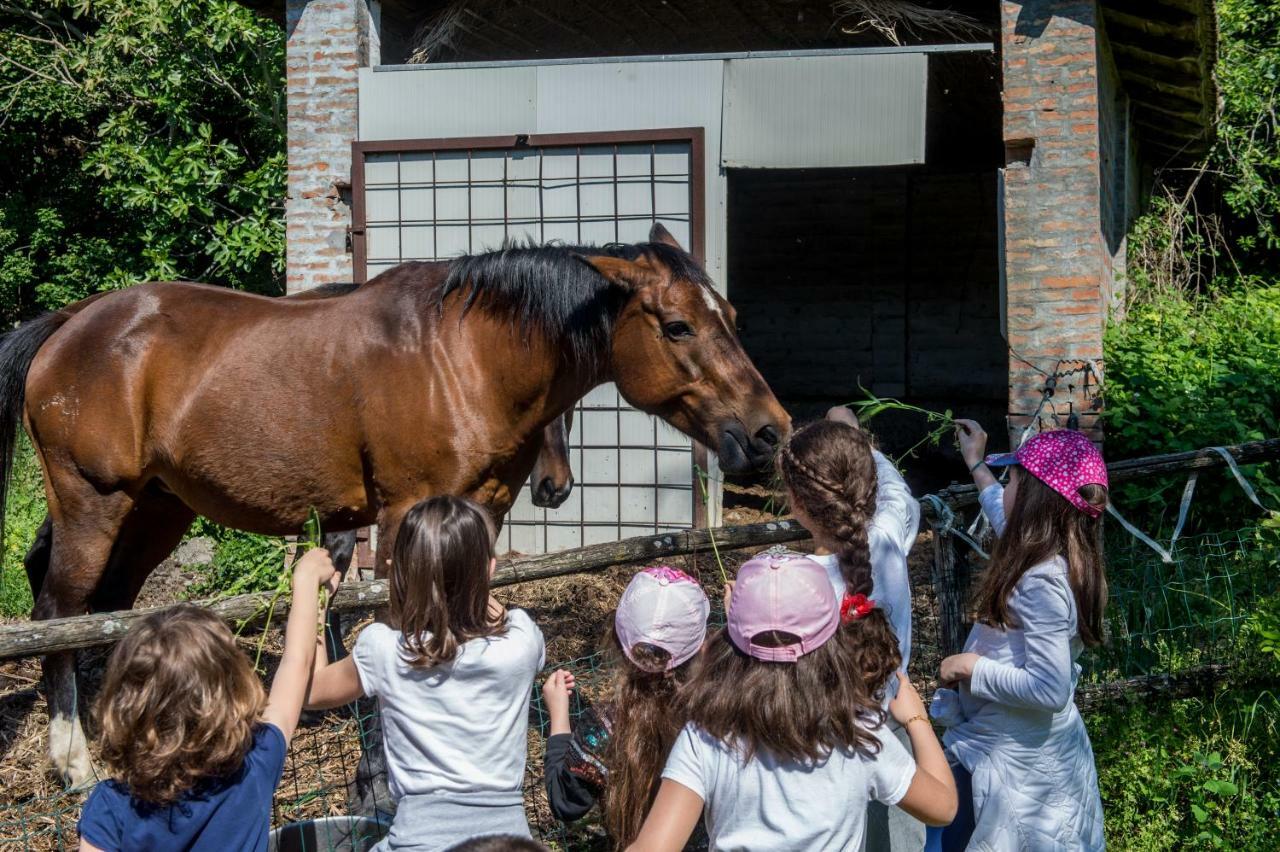 Вілла La Cartiera Dei Benandanti Monghidoro Екстер'єр фото